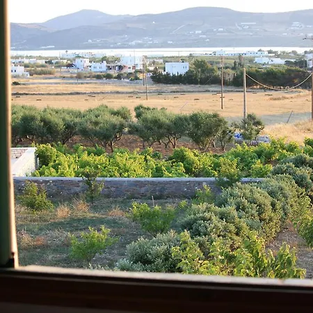 Villa Paros Traditional