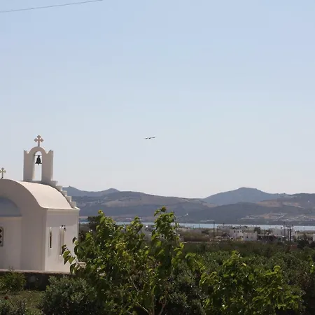 Paros Traditional